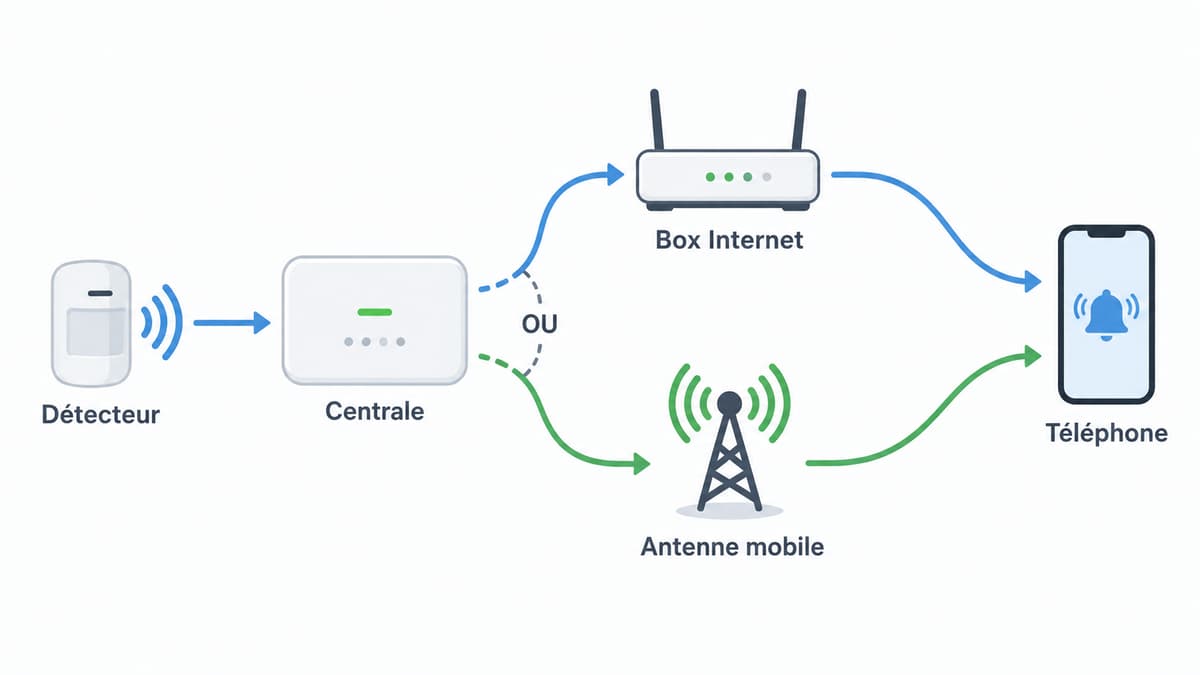 Schéma épuré montrant un détecteur relié par radio à une centrale, puis deux voies possibles vers un téléphone : une via une box Internet et une via une antenne mobile, avec de courts libellés français.